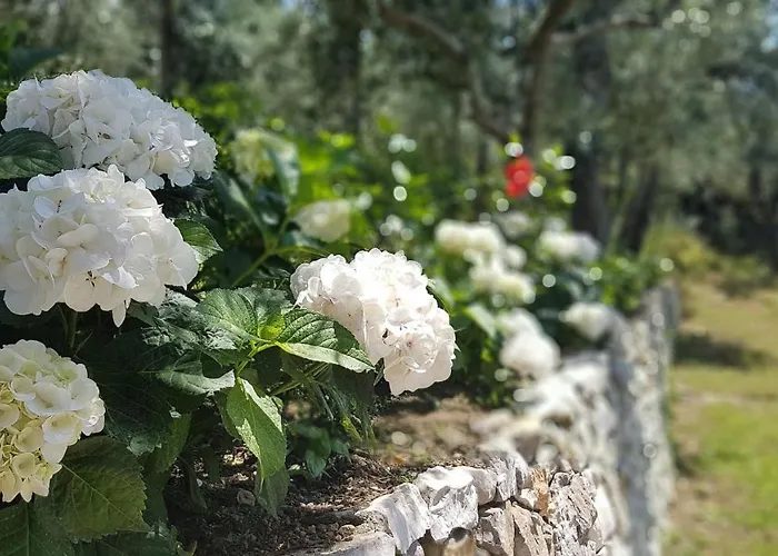 Raf Сasa de vacaciones