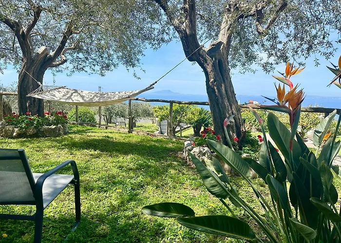 Raf Vico Equense
